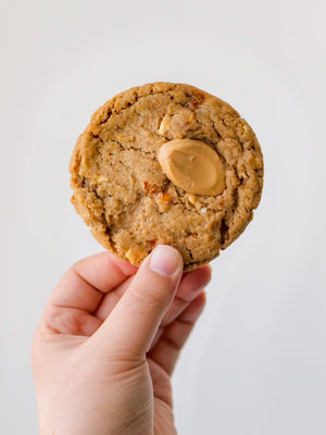 S&H Cookie Box - Third Culture Kat Edit