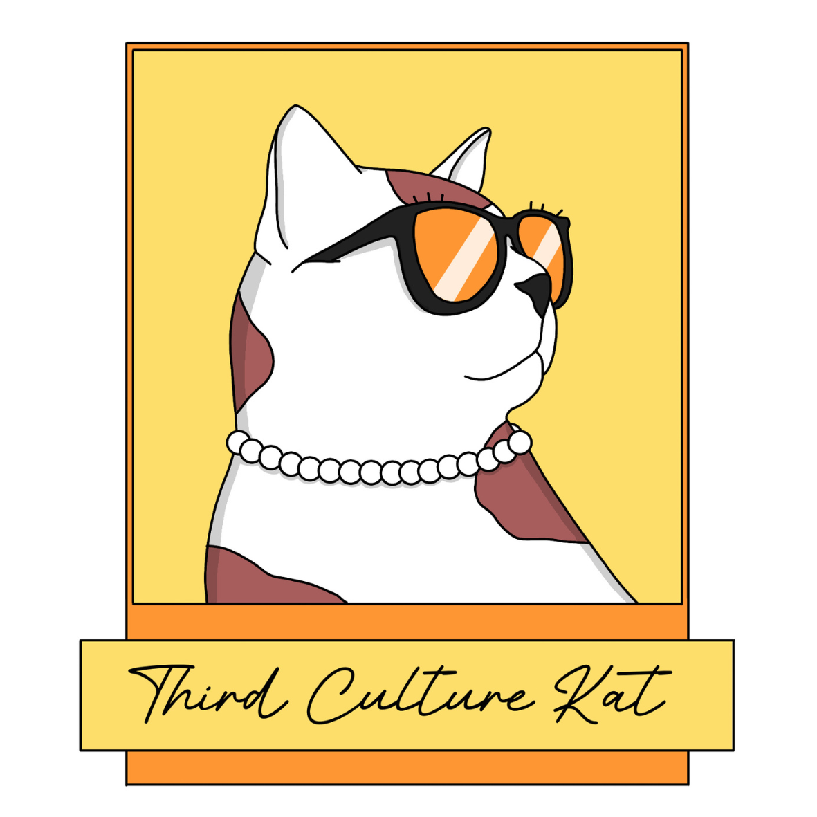 3rd Culture Kat